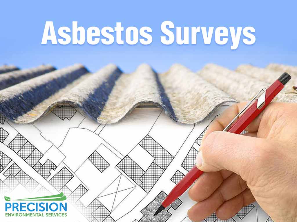 A man reviewing the plan to perform asbestos surveys