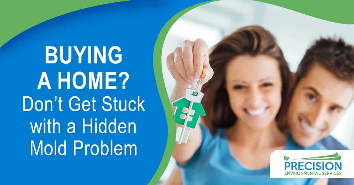 Buying a Home in Texas? Don’t Get Stuck with a Hidden Mold Problem