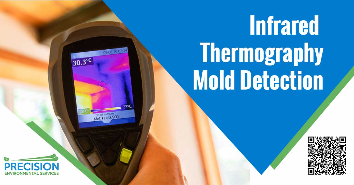 Infrared Thermography Mold Detection