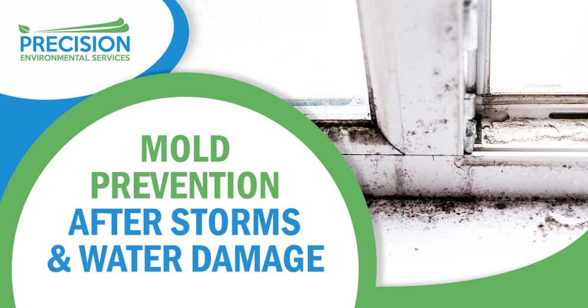 Mold Prevention After Storms & Water Damage in North Texas