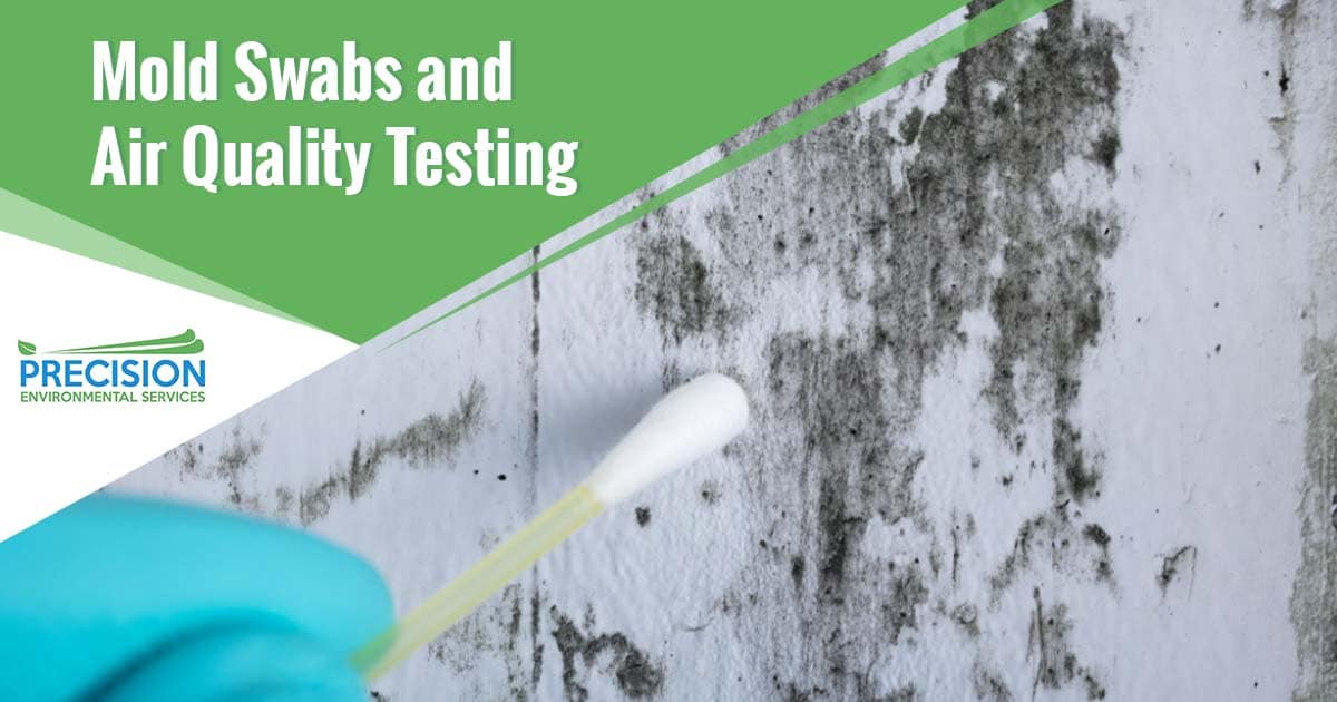 Mold Swabs and Air Quality Testing