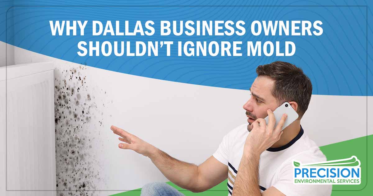 Commercial Mold Inspections: Why Dallas Business Owners Shouldn’t Ignore Mold