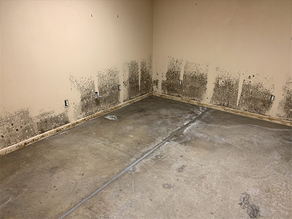 Room with large amount of black mold damage on walls in a mold remediation project overseen by Precision Environmental Services.